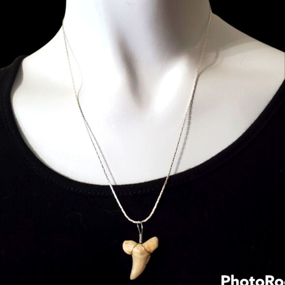 18K White Gold Plated Sharks Tooth Necklace - Picture 2 of 5